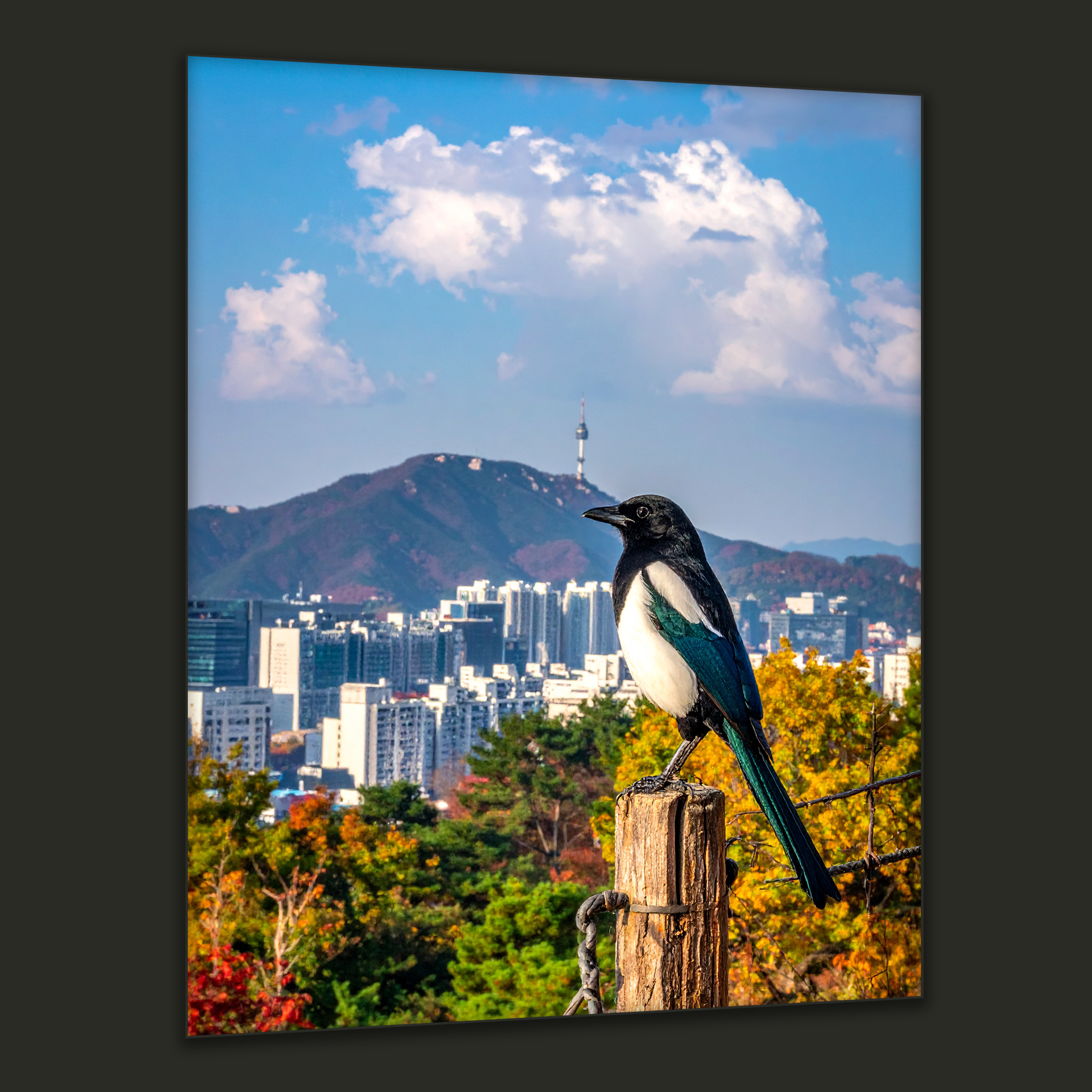 Guardian of Seoul Sky (Metal Art Edition)